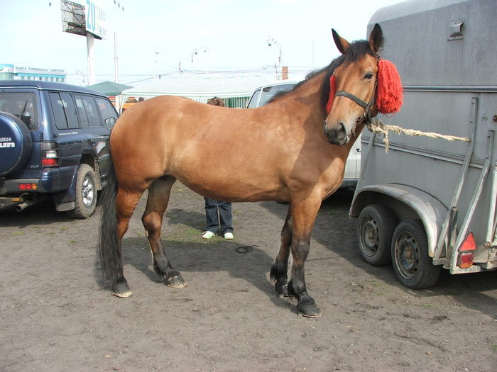 34688399_QIBYQYMLD[1]