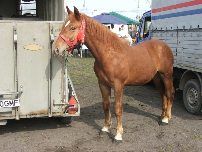 34688401_UBILNDJTK[1]