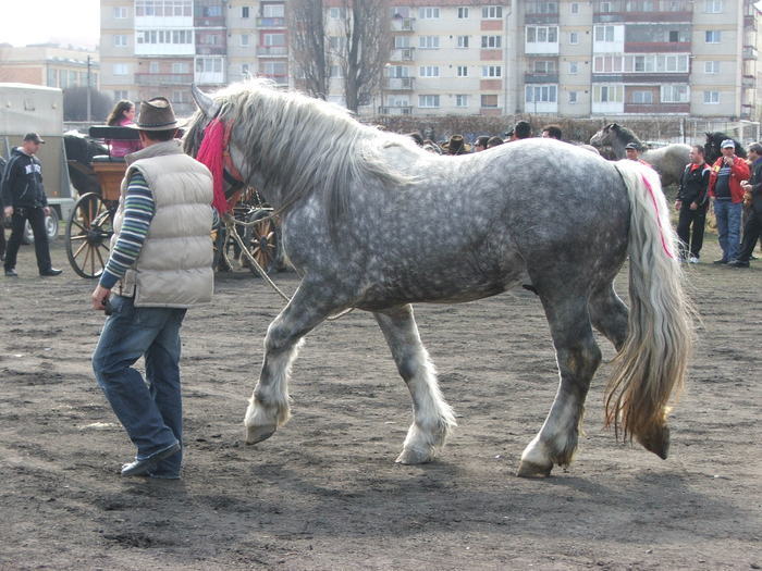 34688403_KQYOUQNDT[1]