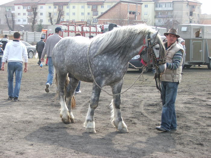 34688404_ZFOCZQKLE[1]