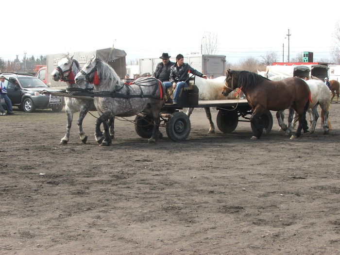 34688406_IGWVQNUEH[1]