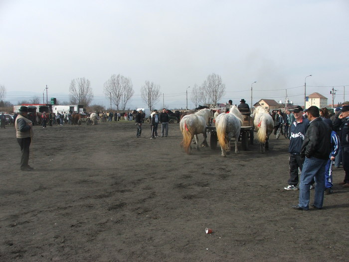 34688409_ZECSNIOJZ[1]