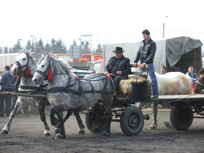 34688422_SMIQLVZXH[1]