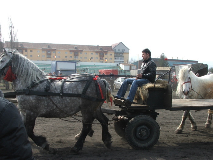 34688424_OHDXRILXM[1]