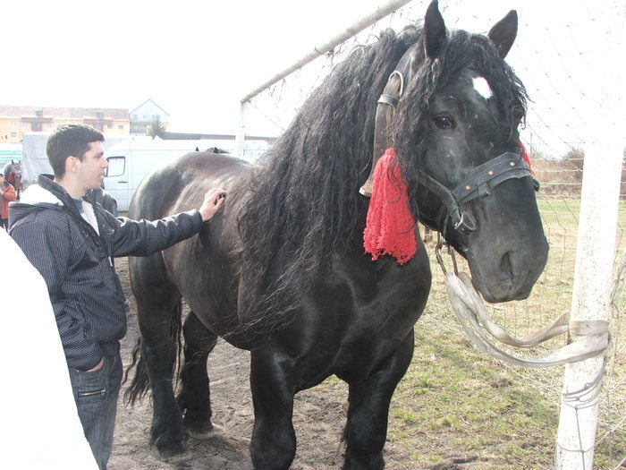 34688429_ADBNQFYMO[2]