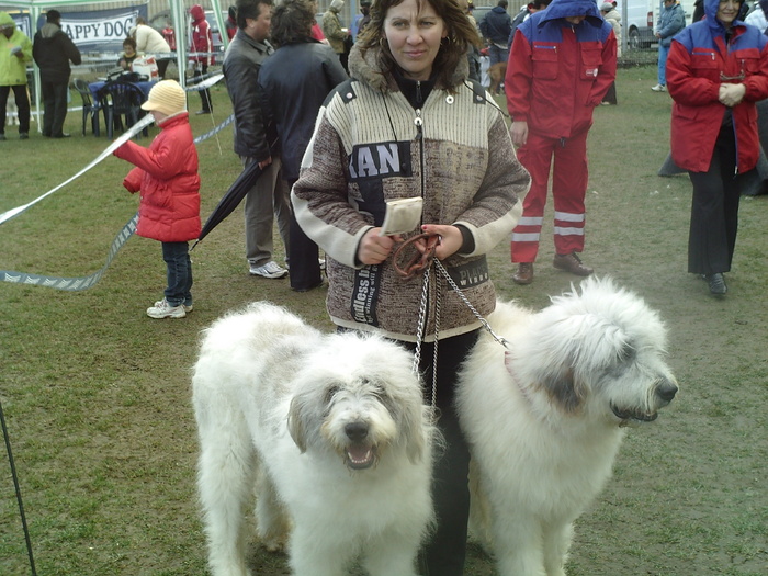 SUNP1050 - lady si lord expo canin 2011 brasov