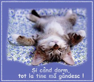 Pisicuta - avatar; Titlul spune tot
