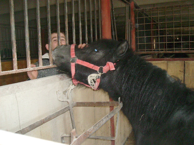 PICT1179 - Calare cu copii la Satu Mare