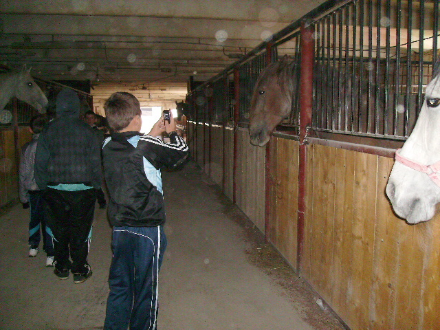 PICT1181 - Calare cu copii la Satu Mare