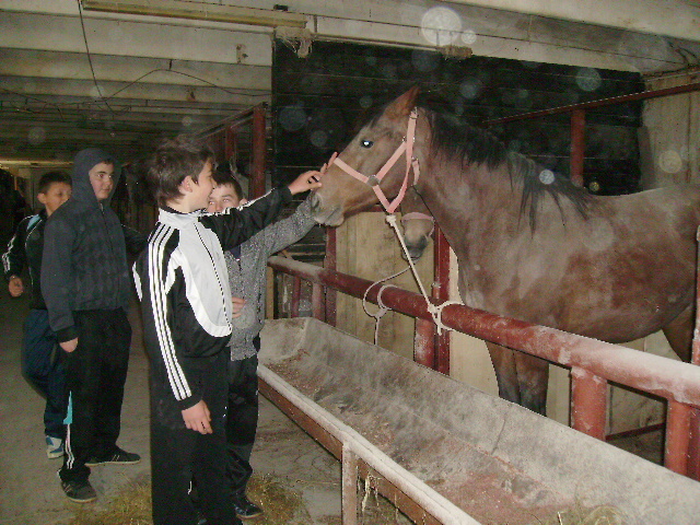PICT1184 - Calare cu copii la Satu Mare