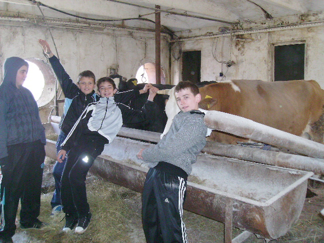 PICT1186 - Calare cu copii la Satu Mare