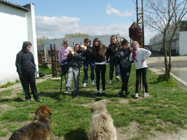PICT1198 - Calare cu copii la Satu Mare