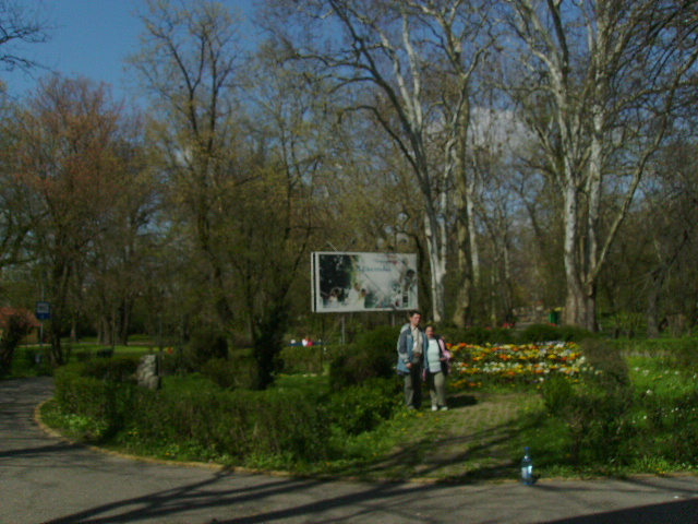 PICT1207 - Calare cu copii la Satu Mare