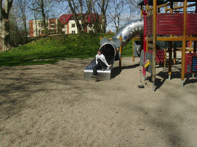 PICT1215 - Calare cu copii la Satu Mare