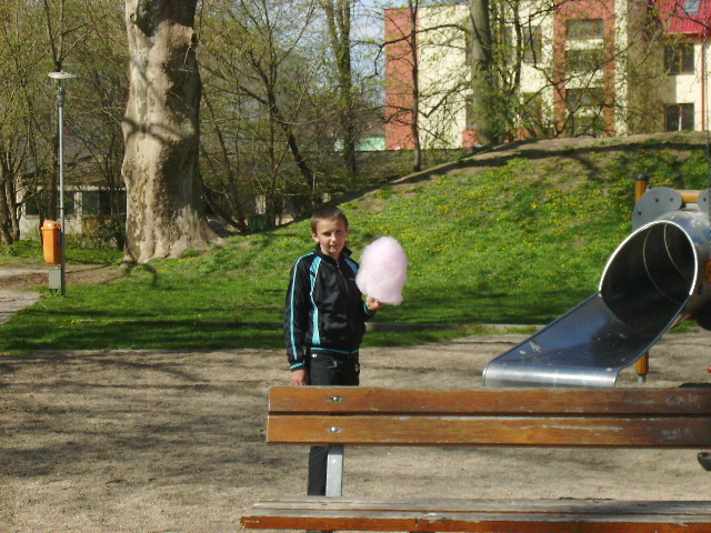 PICT1230 - Calare cu copii la Satu Mare