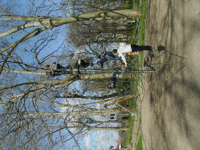 PICT1240 - Calare cu copii la Satu Mare