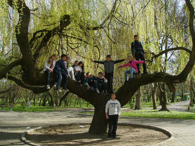 PICT1243 - Calare cu copii la Satu Mare
