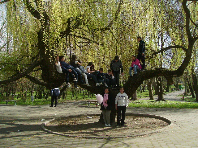 PICT1244 - Calare cu copii la Satu Mare
