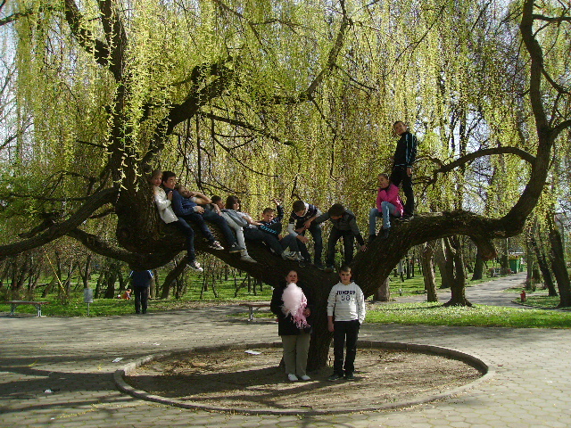 PICT1245 - Calare cu copii la Satu Mare