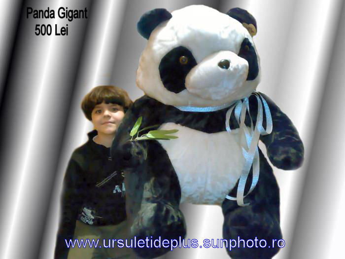 panda gigant1 - URSI URIASI giganti 2012