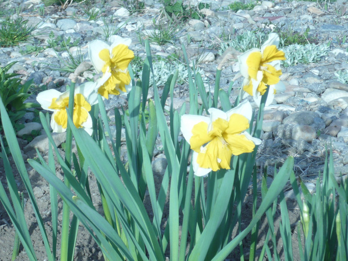 029