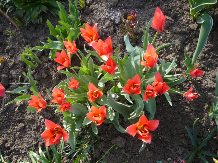 003