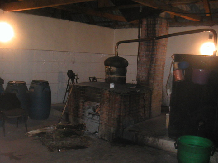 si în sfîrsit,dimineată ,si gata...