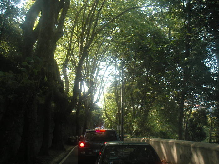 drum ca un tunel - 3 -pe tarmul Atlanticului