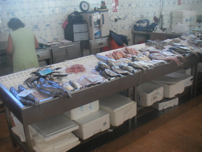 peste 250 specii de peste - 3 -pe tarmul Atlanticului