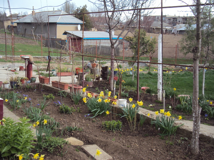 DSC07772 - GRADINA  2011
