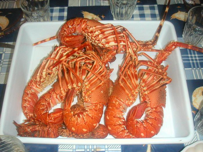 gata de atac