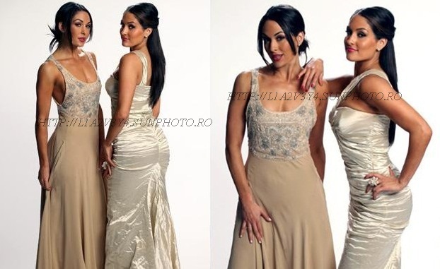 the bella twins - rochiile divelor de la hall of fame