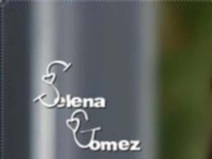  - x_Selena Gomez puzzle