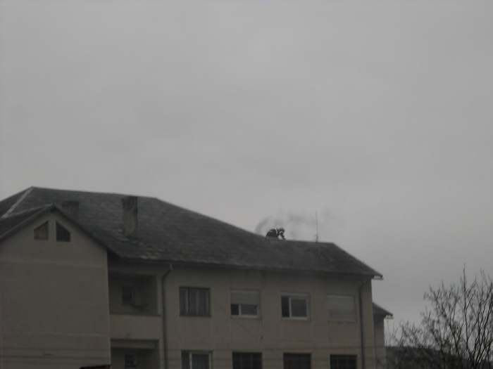 pompierii la datorie