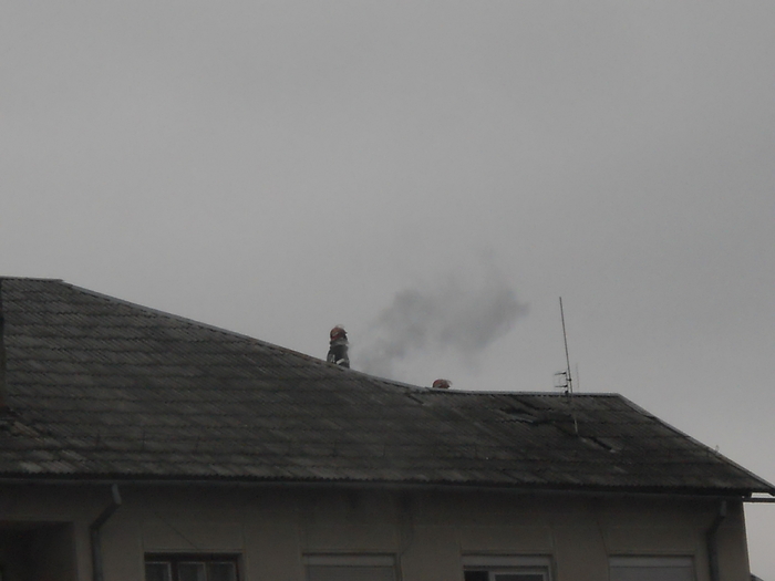 ce le pufaie baiatu'