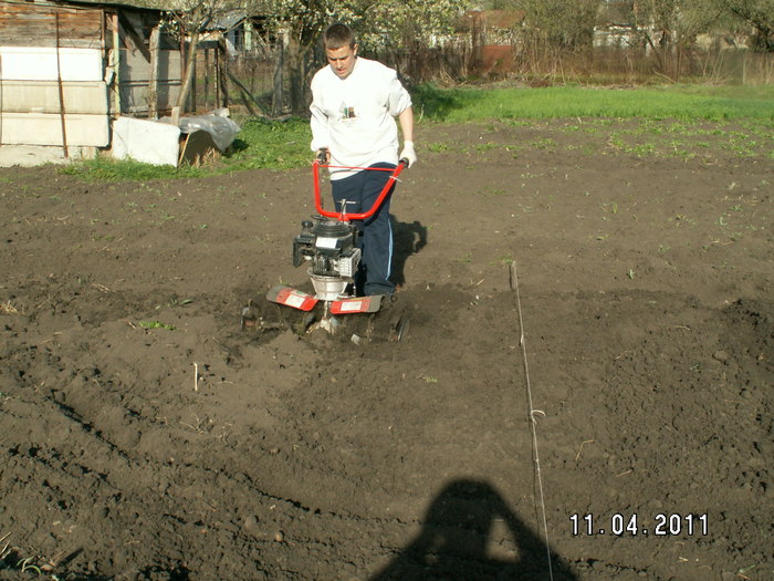 pregatirea terenului cu motosapa - plantare bulbi de tuberoze 2011