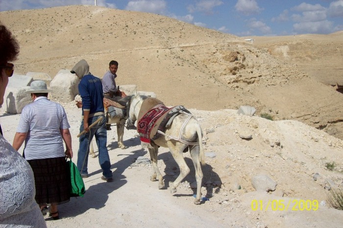In asteptarea clientilor pentru a cobora in vale ,spre manastire. - SF GHEORGHE locuri deosebite in Palestina