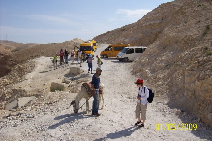 De aici incep negocierile pentru calatoria pe magari. - SF GHEORGHE locuri deosebite in Palestina