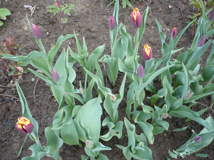 033