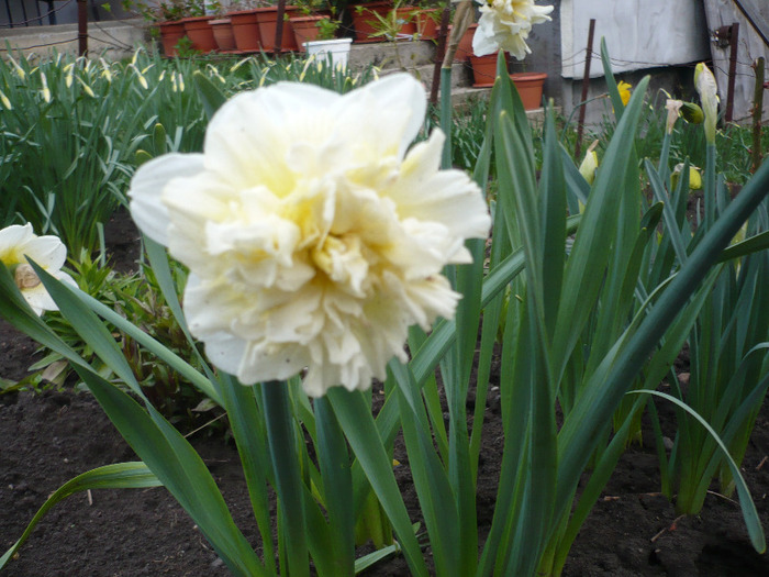 035