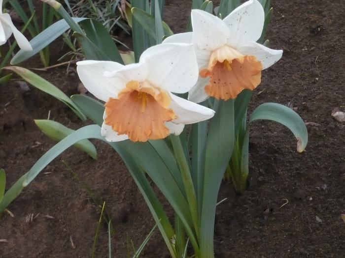 042