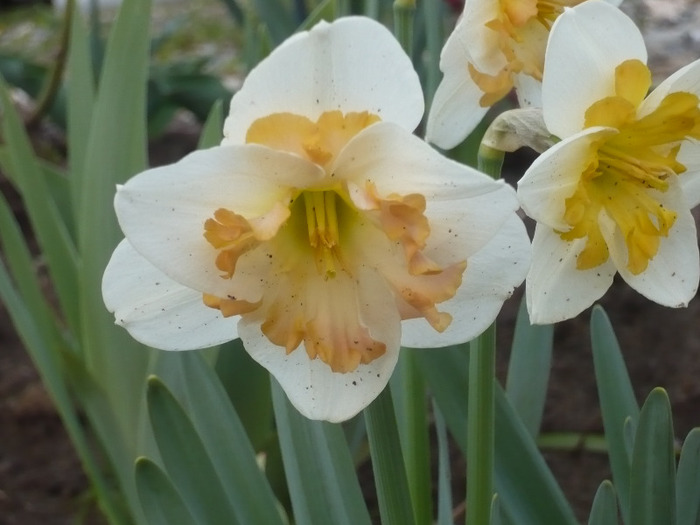 047