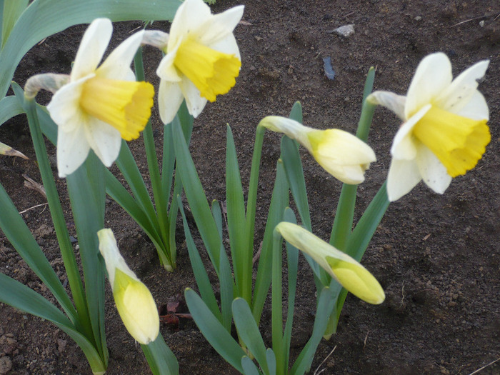 053