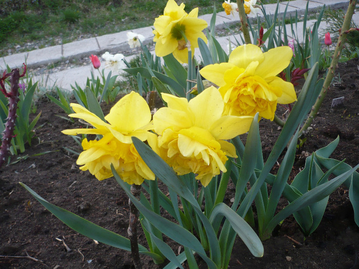 056