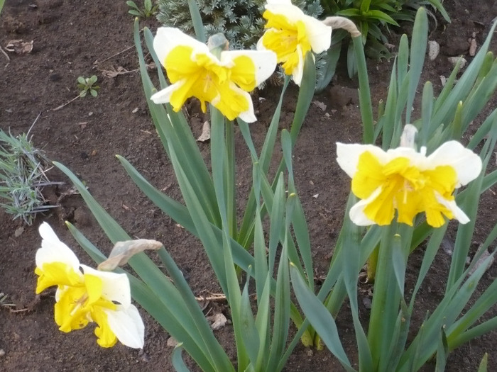 057