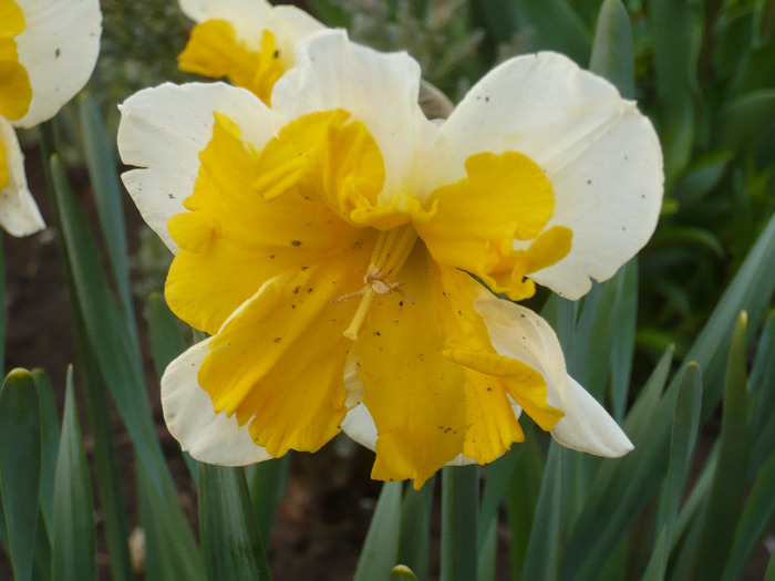 058