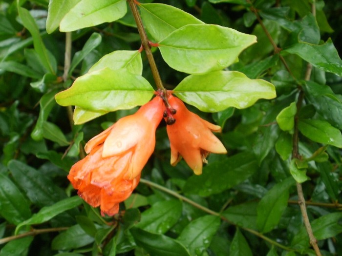 P7060160