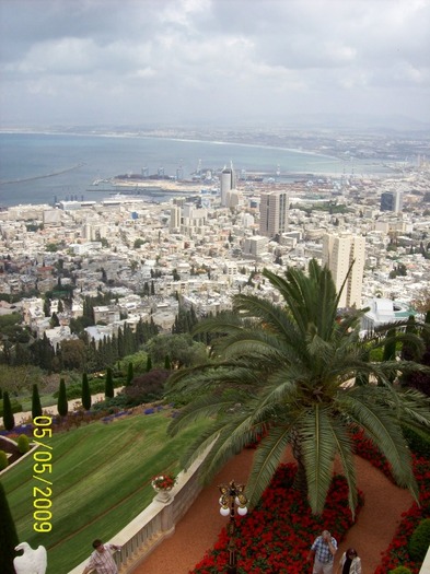 PALMIER, ORASUL HAIFA SI MAREA MEDITERANA ... - HAIFA ISRAEL CENTRU UNIVERSITAR ECONOMIC SI PORTUAR