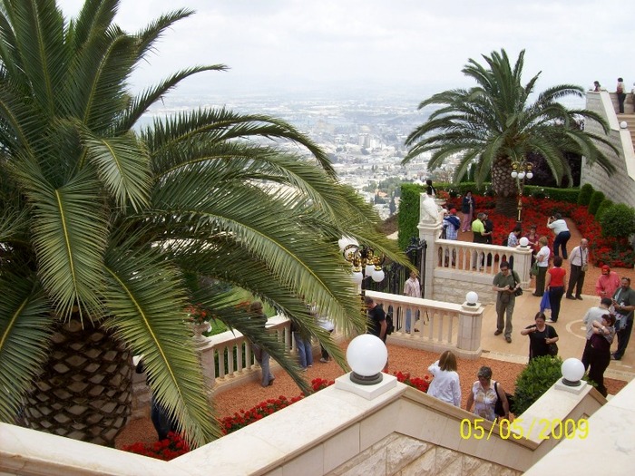 SPLENDOARE LA HAIFA .. - HAIFA ISRAEL CENTRU UNIVERSITAR ECONOMIC SI PORTUAR