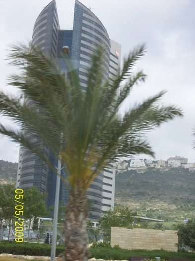 PALMIER SI LUCRARE DE ARHITECTURA MODERNA LA HAIFA.